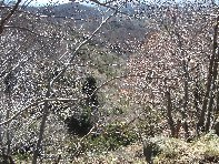 qua Rocca20100328 067